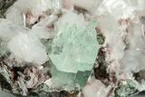 Gemmy Apophyllite Crystals with Stilbite - India #243890-2